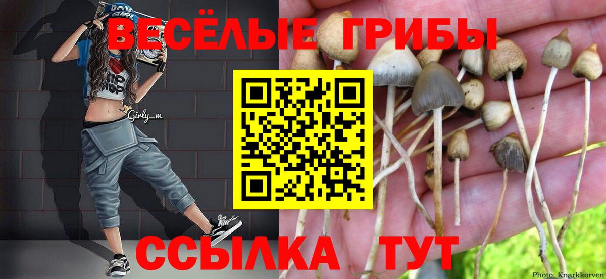 Псилоцибиновые грибы Cubensis  Вход с VPN  Ливны 