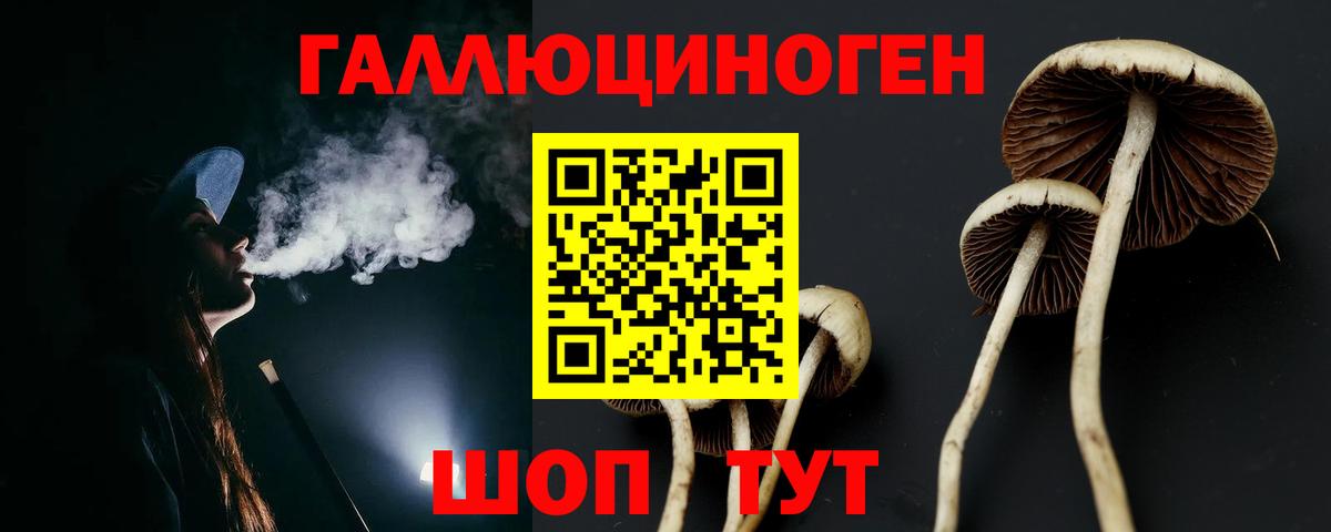 Галлюциногенные грибы Psilocybe Ливны