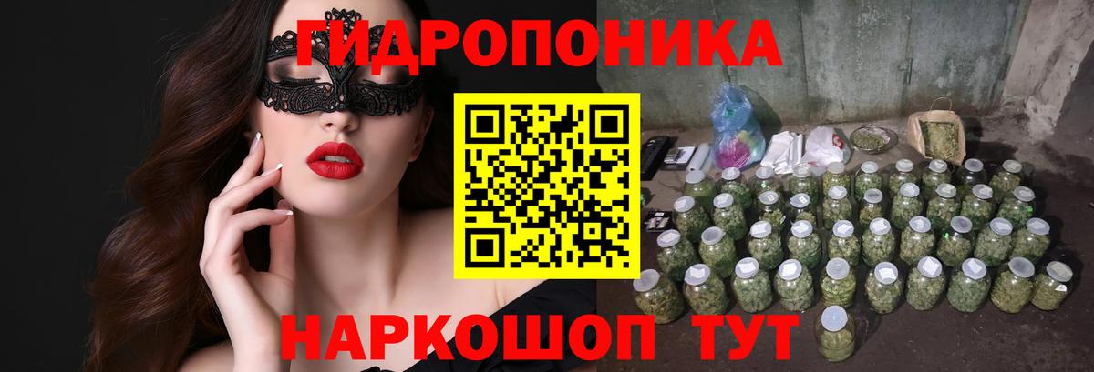 Каннабис OG Kush Ливны